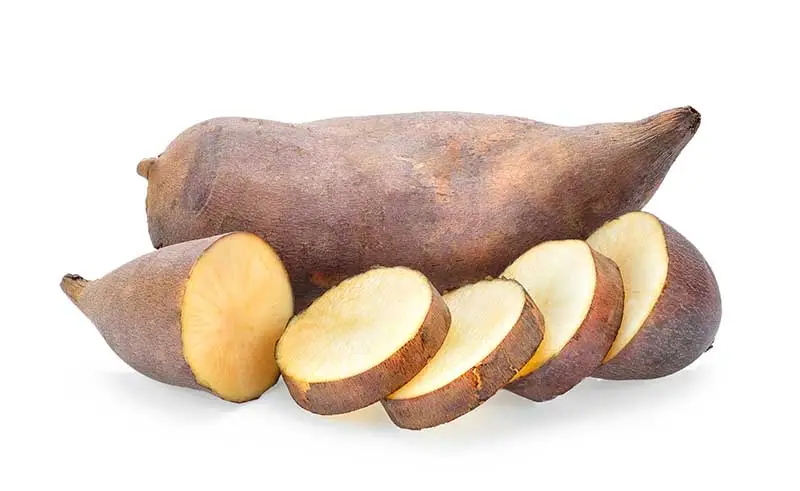 Fresh Yacon Root / Tuber