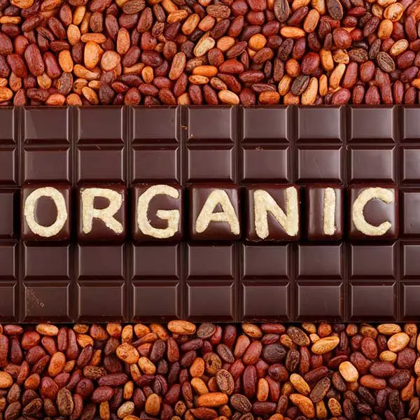 Organic Chocolate Bars make a great birthday gift