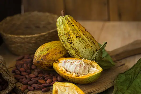 Cacao pods and fresh beans on a chopping-board