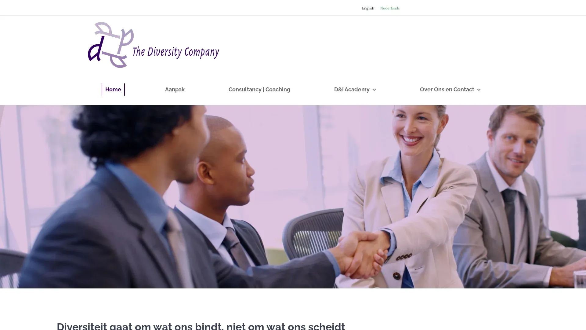 The Diversity Company