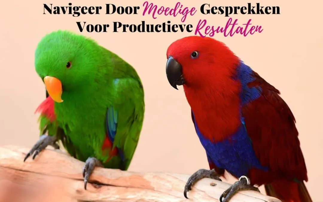Navigeer Door Moedige Gesprekken Voor Productieve Resultaten