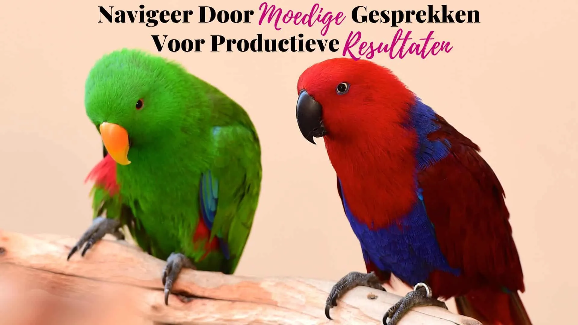 Navigeer Door Moedige Gesprekken Voor Productieve Resultaten - Vivian Acquah Navigeer Door Moedige Gesprekken Voor Productieve Resultaten - Vivian Acquah