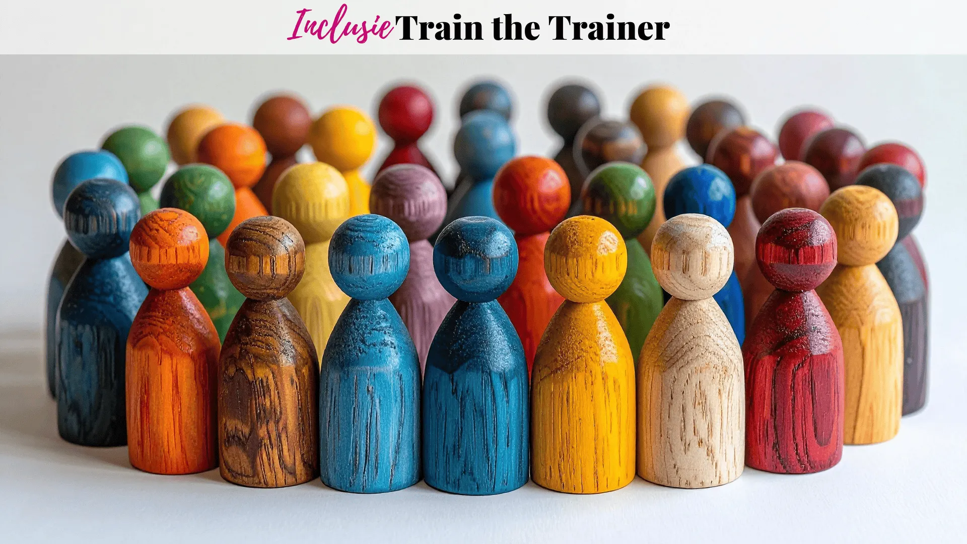 Inclusie Train de Trainer Vivian Acquah Effectiever Samenwerken Van Ik Naar Wij