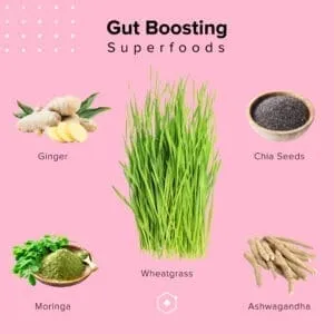 Digestive Health - Gut Boosting Superfoods - 1080x1080