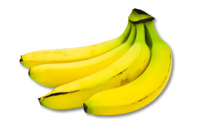 Frische Bananen im Angebot des Obsthof Werner – ideal für den Hofladen