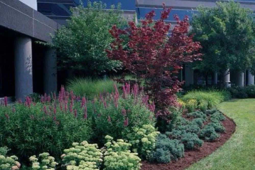 5 Essential Landscaping Tips to Boost Your Property’s Curb Appeal Year-Round