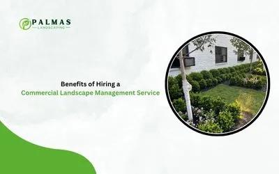 Benefits of Hiring a Commercial Landscape Management Service
