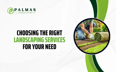Choosing the Right Landscaping Services for Your Needs