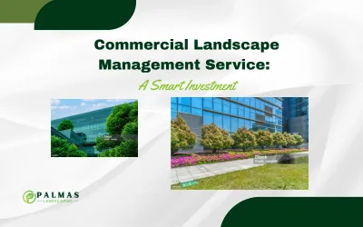 Commercial Landscape Management Service: A Smart Investment