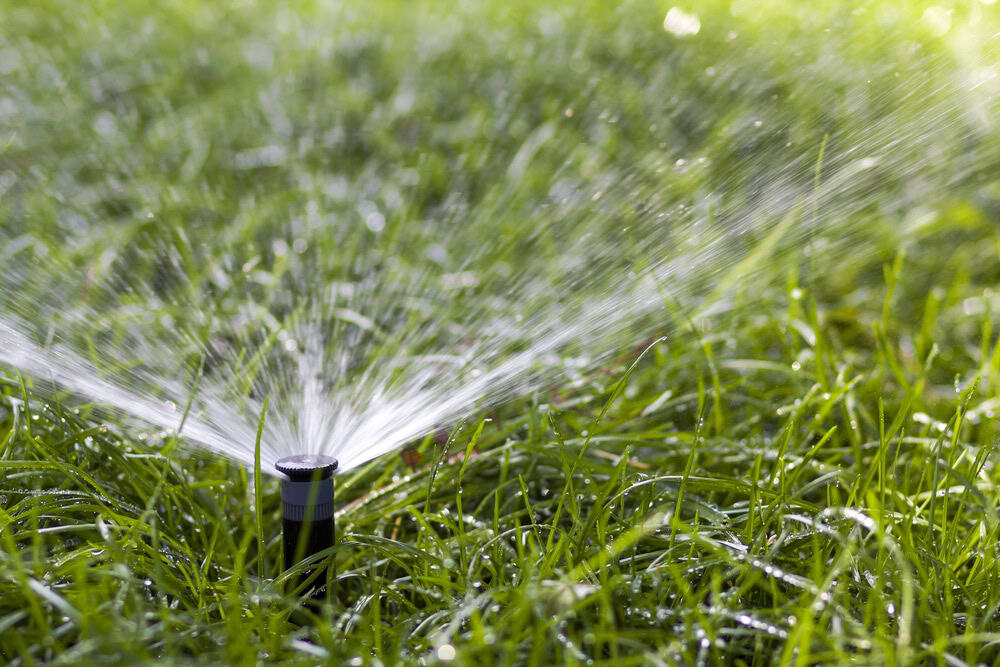 Un arroseur de pelouse noir pulvérise de l'eau sur l'herbe verte par une journée ensoleillée, mettant en valeur le travail impeccable du Paysagiste Elagage Albi.