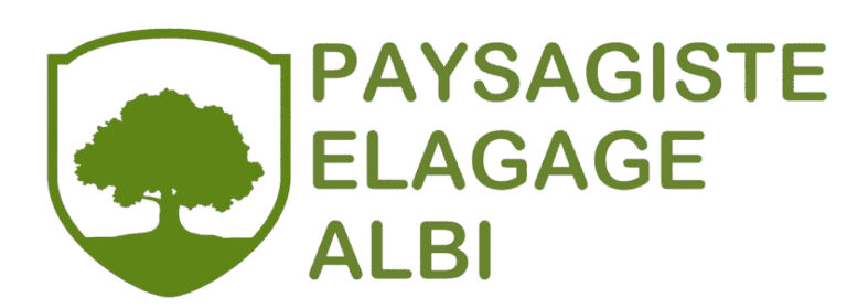 Un logo représentant un arbre vert à l'intérieur d'un emblème de bouclier à gauche du texte « Paysagiste Elagage Albi » en vert.