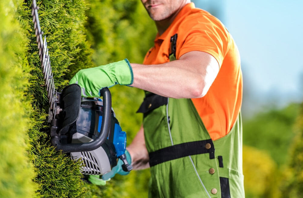 Un paysagiste en gants verts et chemise orange taille une haie à l'aide d'un taille-haie électrique, démontrant ainsi son savoir-faire en matière d'élagage autour d'Albi.