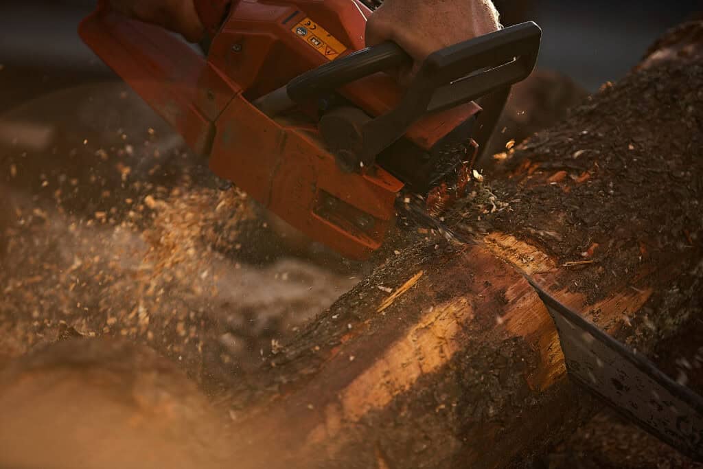 Gros plan d'une tronçonneuse orange actionnée par un élagueur à Lavaur coupant une grosse bûche, avec de la sciure volant autour.