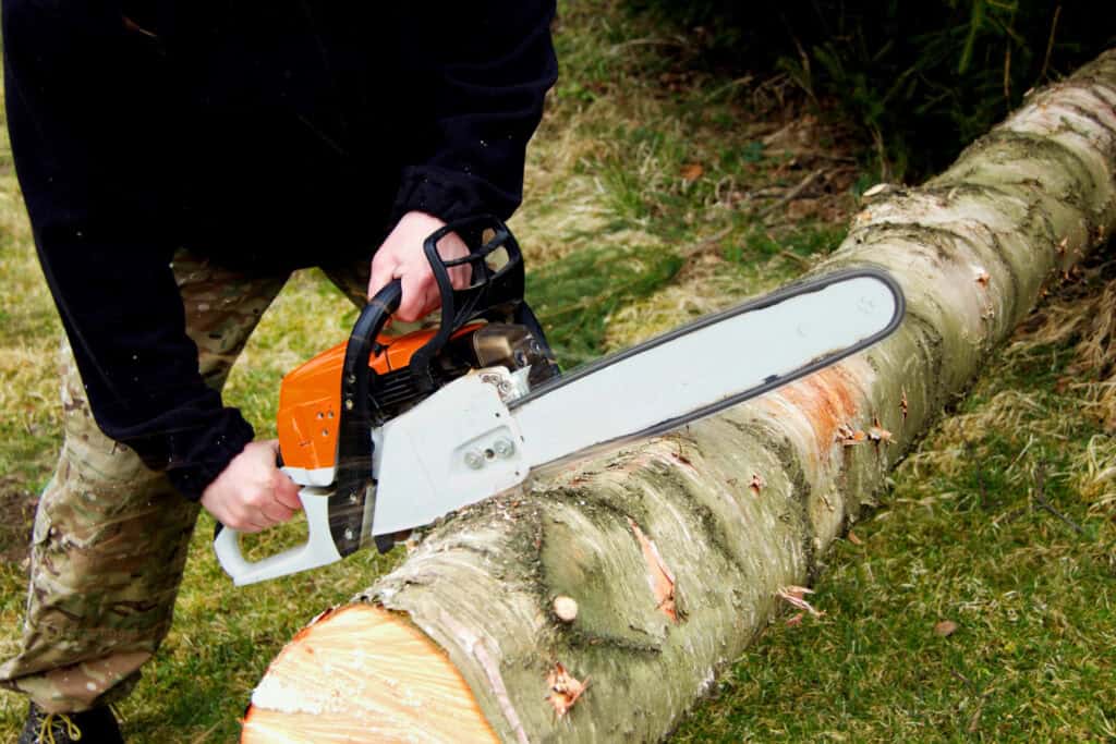 Personne utilisant une tronçonneuse pour couper un gros tronc d'arbre posé sur l'herbe, mettant en valeur le savoir-faire de l'abattage d'arbres à Graulhet.