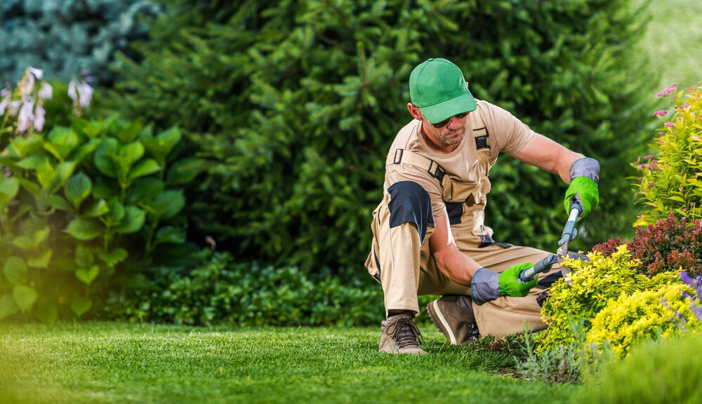 Un Jardinier à Carmaux, portant une casquette verte, des gants et une combinaison beige, utilise un sécateur pour tailler les plantes d'un jardin paysager.