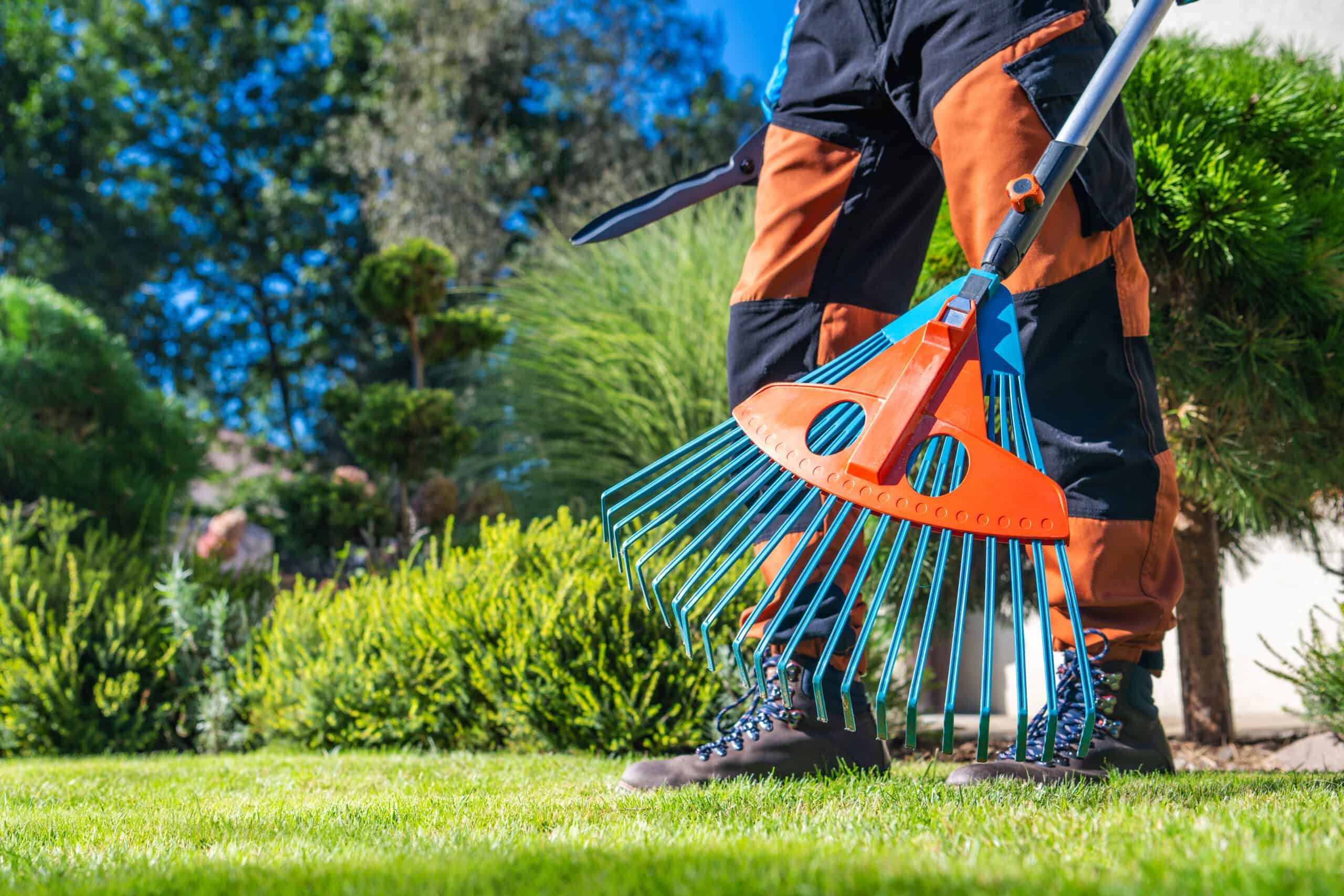 Entretien de jardin Albi