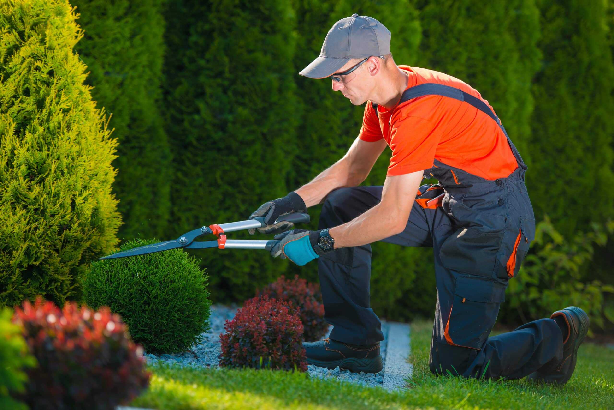 Services de jardinage local