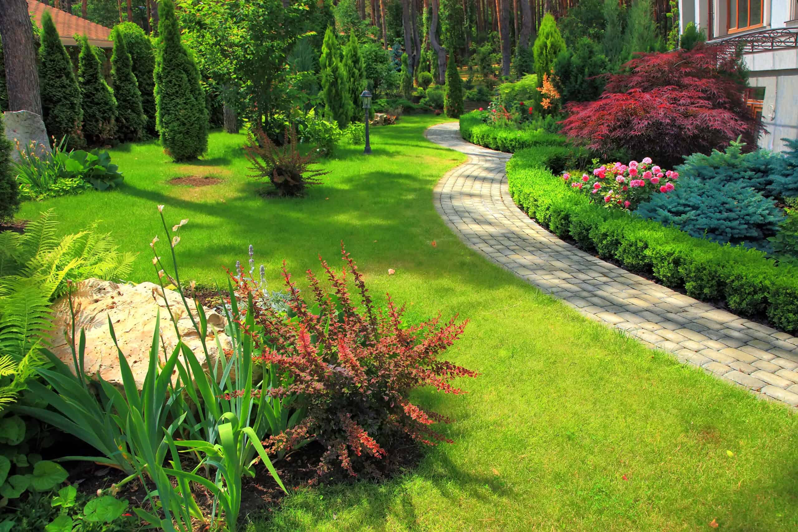 Un alliรฉ de taille pour votre jardin de rรชve