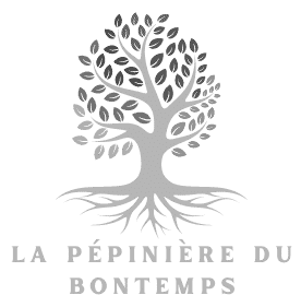 logo Pepiniere du bon temps
