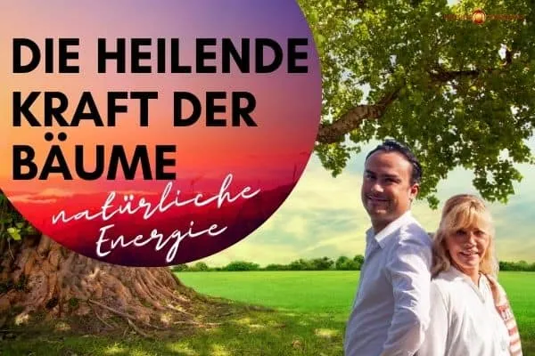 Wissenschaftler erklären, wie Bäume durch ein uraltes "Anderswelt"-Netzwerk miteinander sprechen - Bäume sprechen miteinander 2 Bäume sprechen im 'The Wood-Wide Web'
