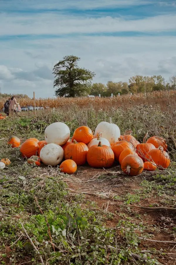 Keď zasievame semienka — napríklad povzbudenie, objatie, nápad, ochotu pomôcť, učenie sa, investíciu času či záujem — môžu z toho vyrásť veci oveľa väčšie ako sami predpokladáme.