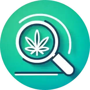 A magnifying glass icon with a cannabis leaf in the center, on a teal and green background.