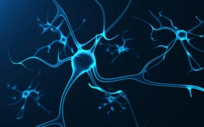 Neuroterapia por Neurofeedback