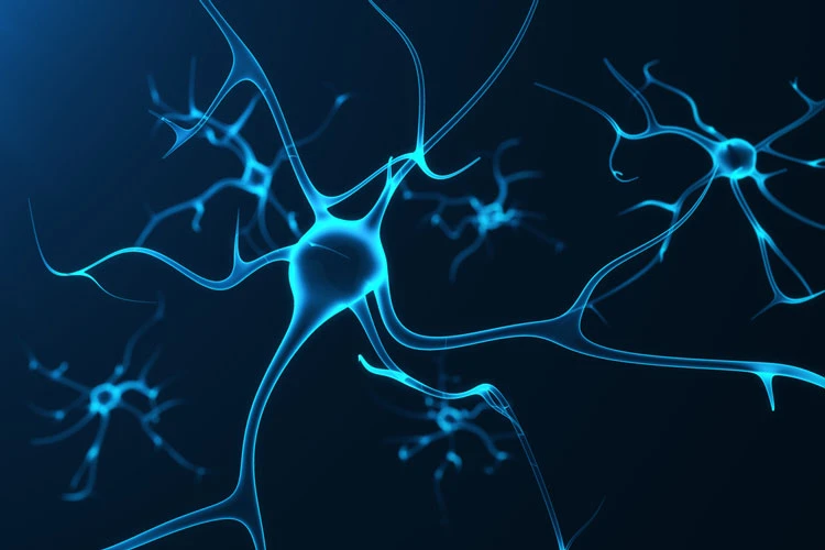 Neuroterapia por Neurofeedback