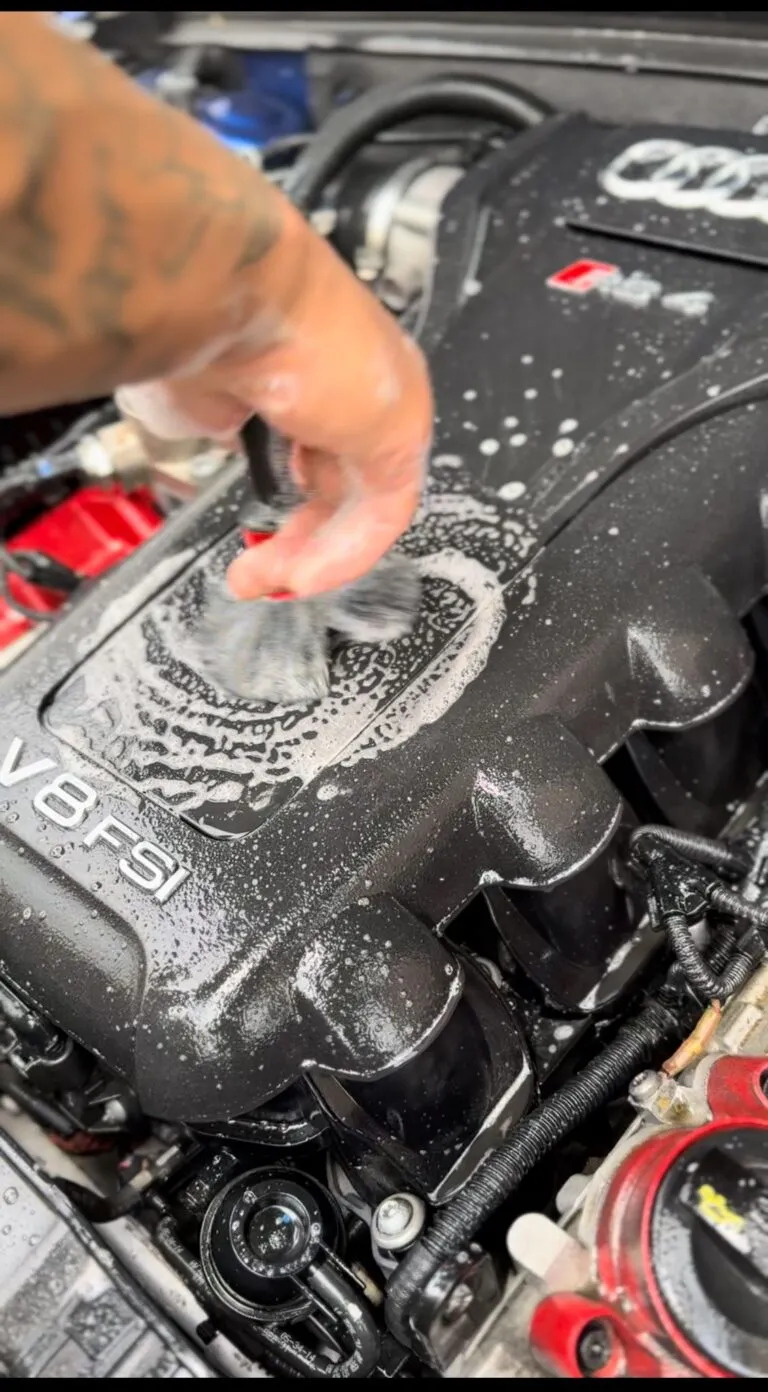 Engine bay cleaning