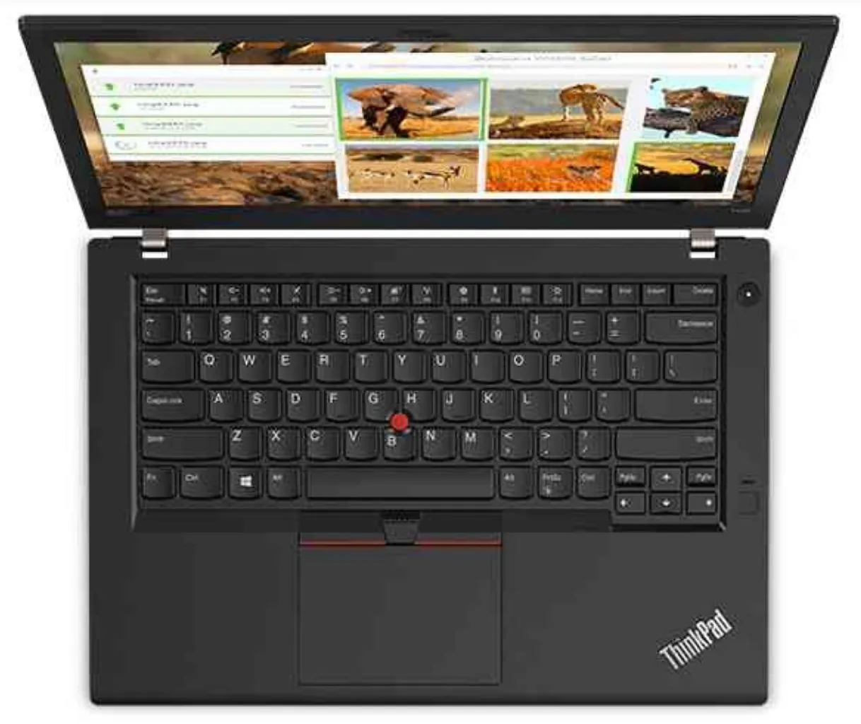 ThinkPad T480 8