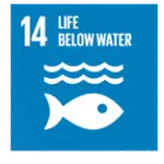 Life Below Water Life Below Water