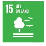 Life On Land Life On Land