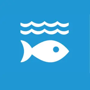 SDG 14