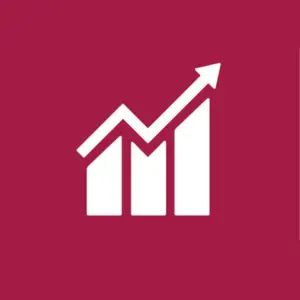 SDG 8