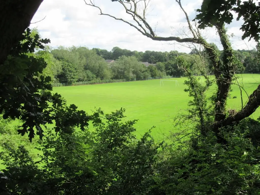 wake green amateur football club