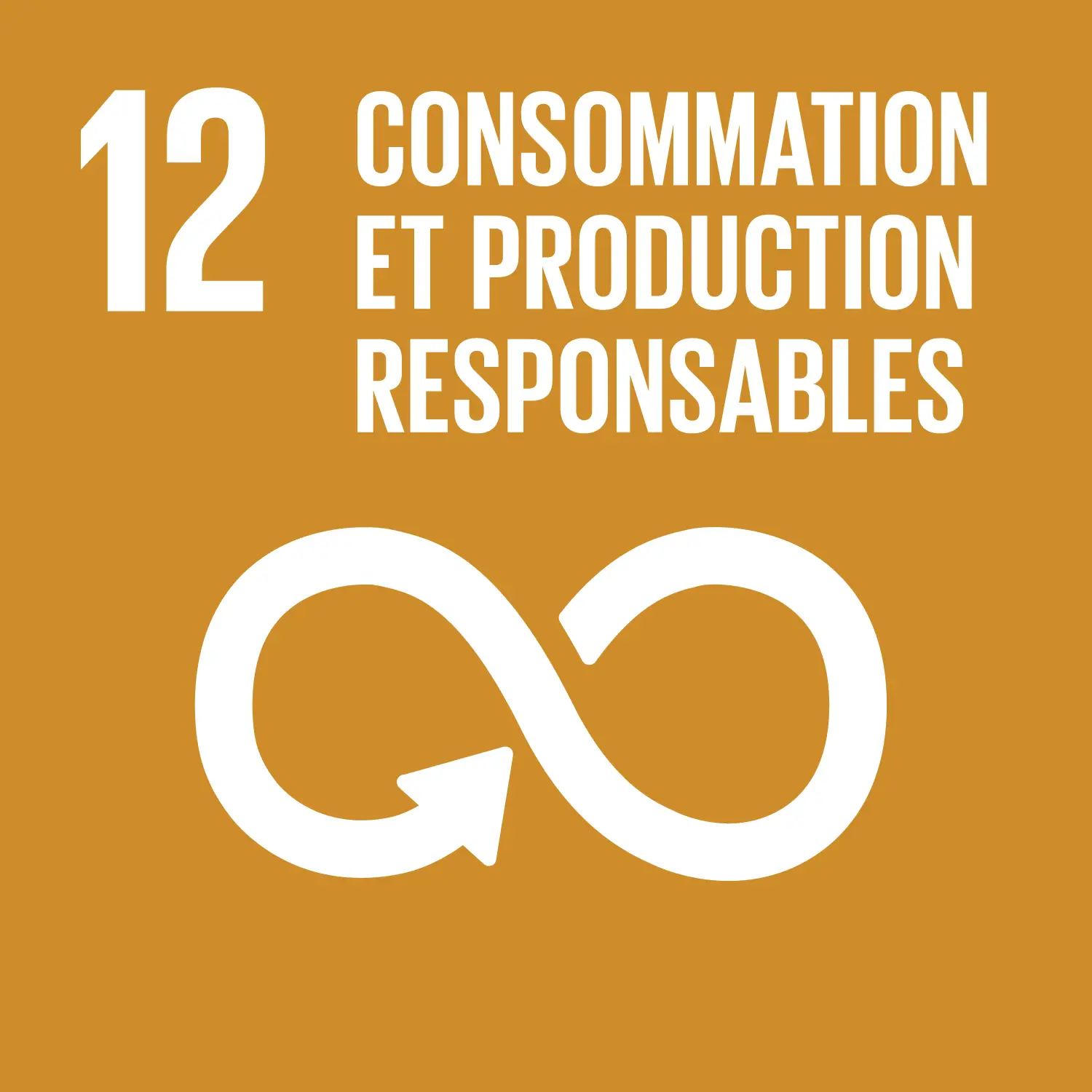 SDG 12 icon