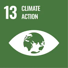 SDG 13 icon