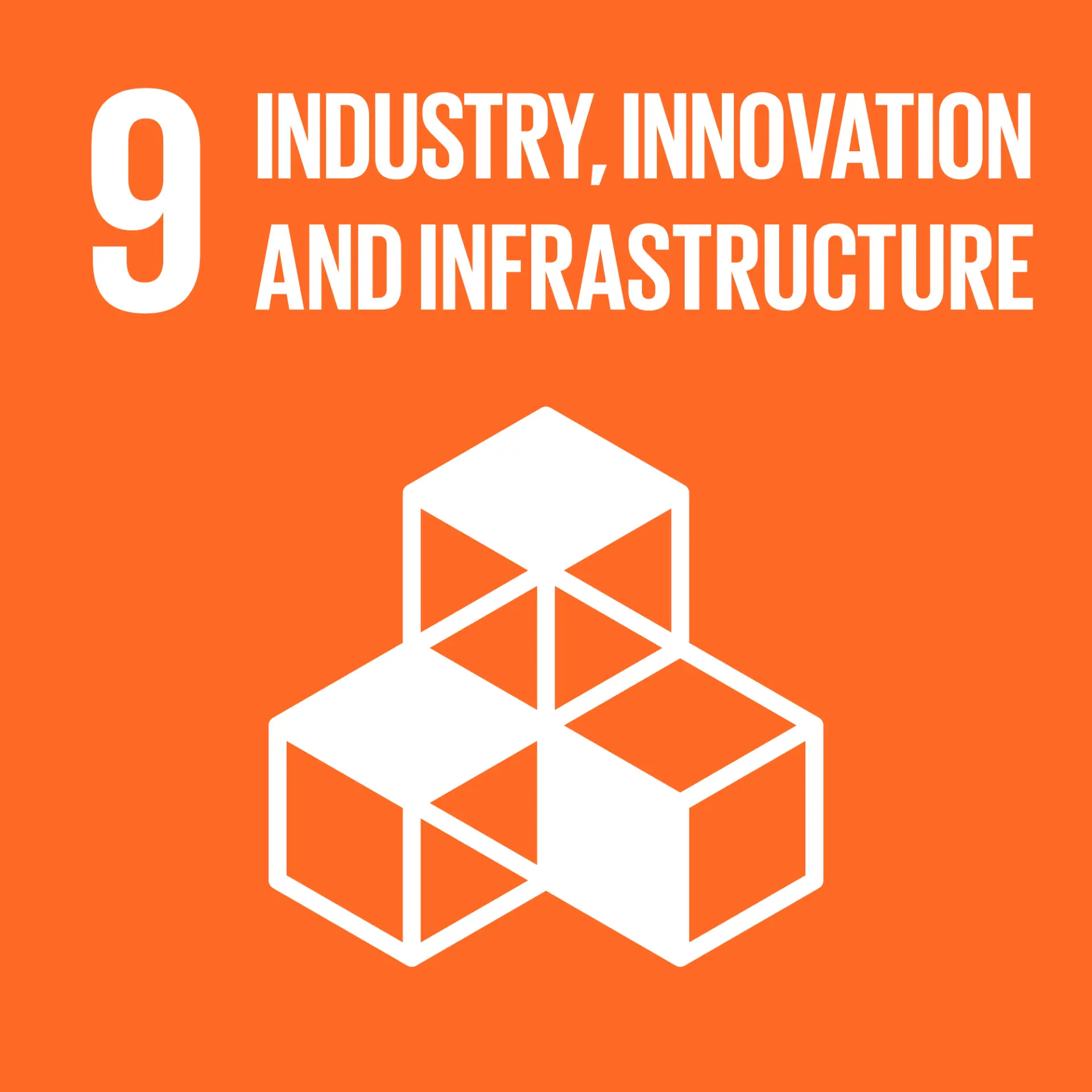 SDG 9 icon