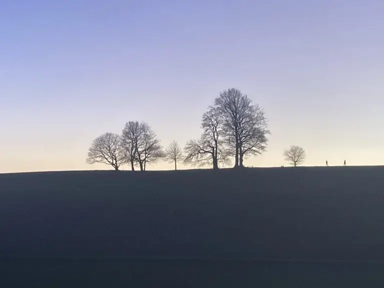 IMG 8949 1536x1152 1 768x576