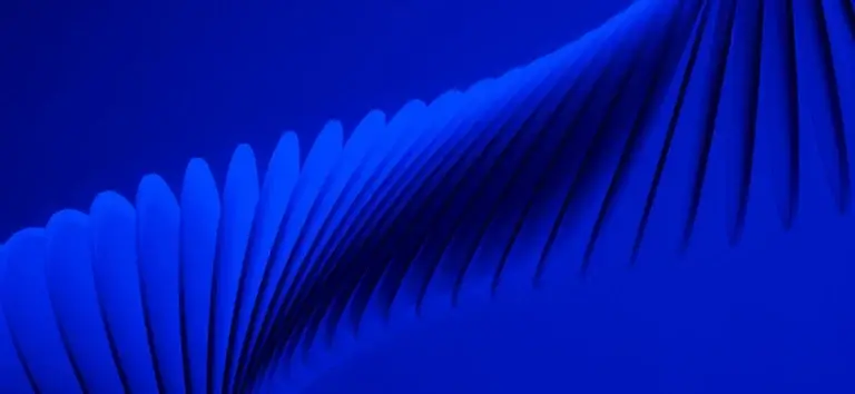 scraper 1 768x354