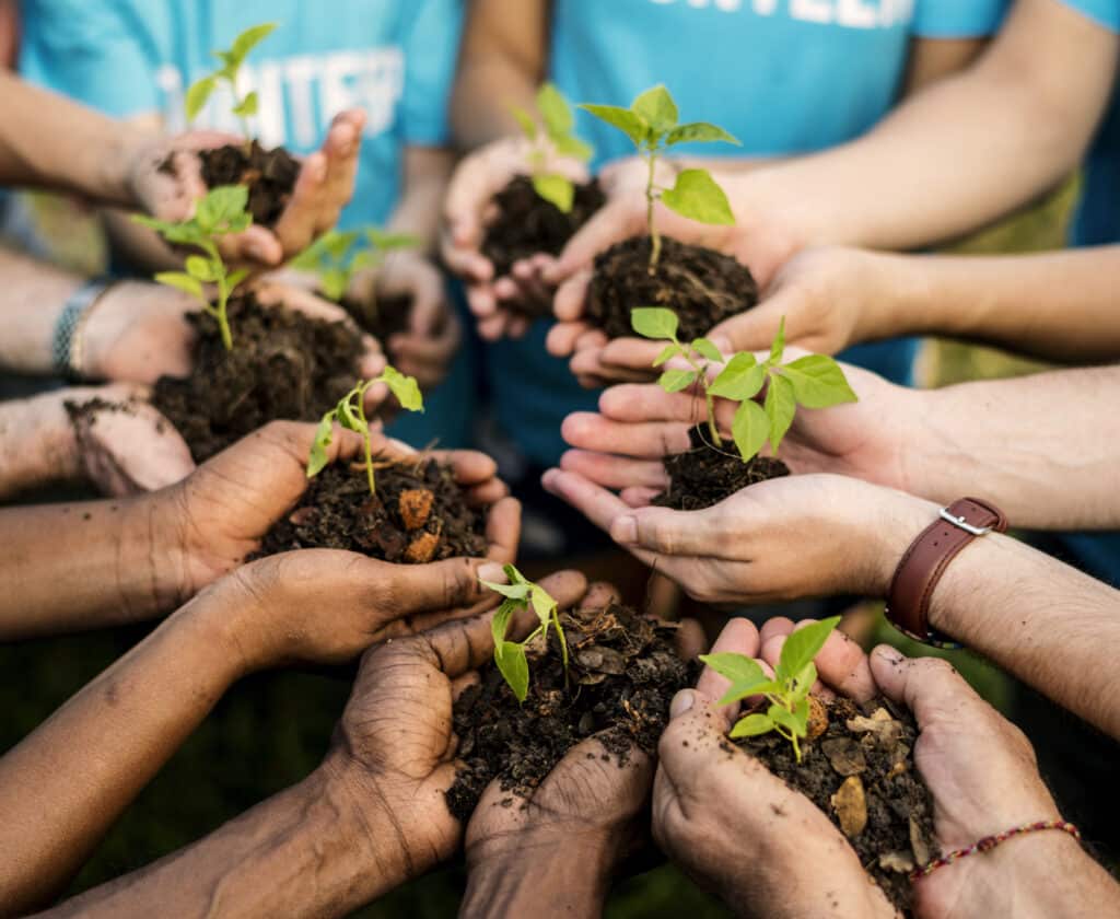 Travail en équipe et potager en entreprise : manager autrement!
