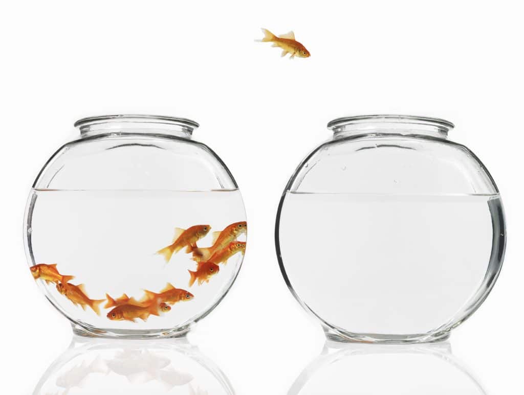 Conduite du changement, approche individuelle ou approche collective, manager le changement