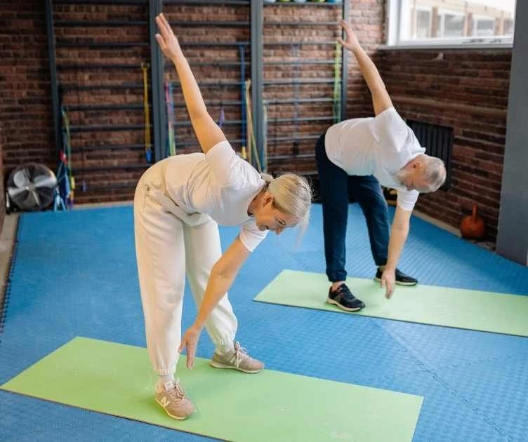 senior fitness videos for seniors