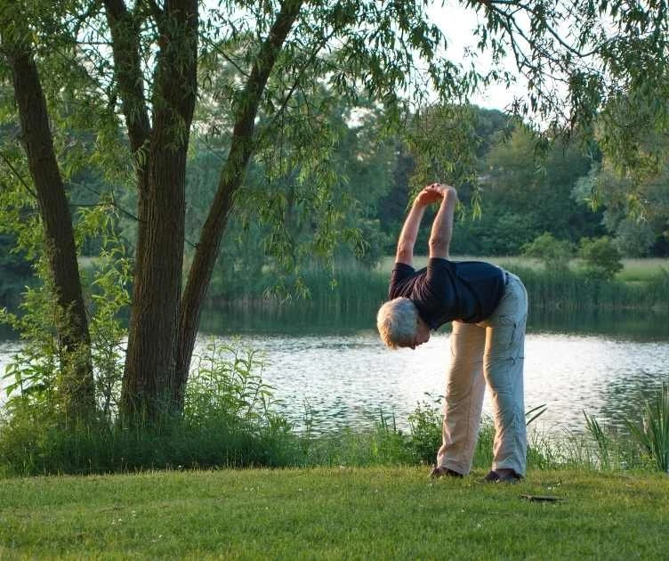 free senior fitness exercises