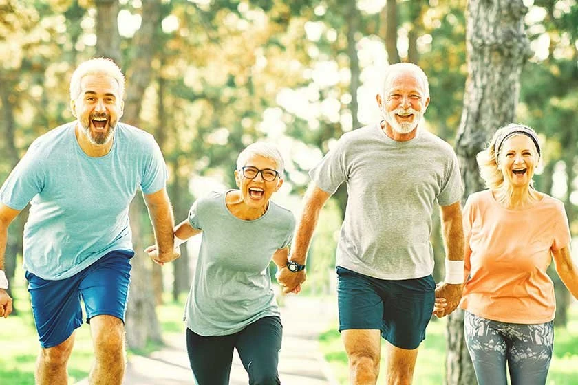 senior fitness test protocol