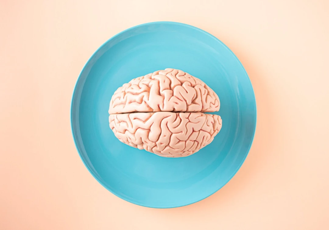 From Neuron to Brain 5th Edition Review from-neuron-to-brain-5th-edition-1