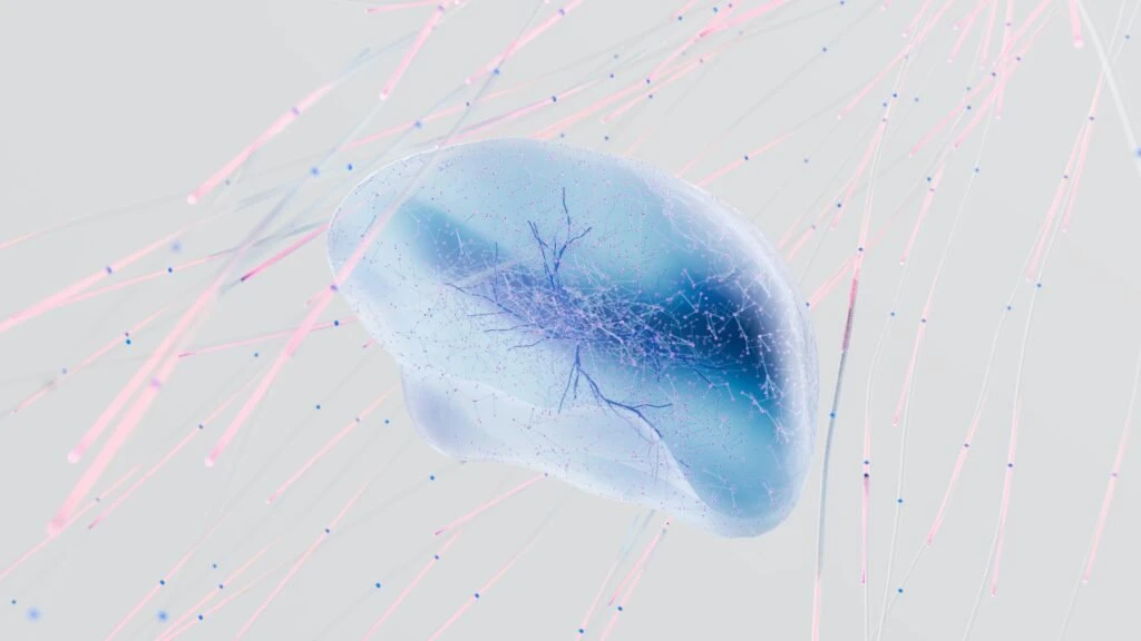 From Neuron to Brain: A Cellular and Molecular Approach to the Function of the Nervous System, Fourth Edition 4th Edition From Neuron to Brain: A Cellular and Molecular Approach to the Function of the Nervous System, Fourth Edition 4th Edition