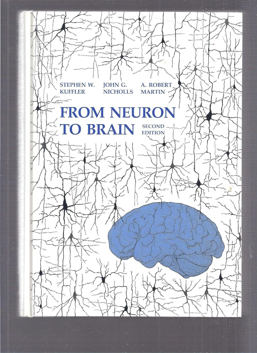 From Neuron to Brain: A Cellular Approach Review from-neuron-to-brain-a-cellular-approach-to-the-function-of-the-nervous-system-2nd-edition