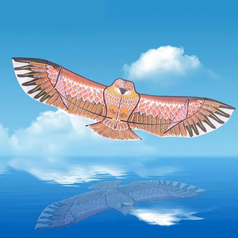 ⁦עפיפון בצורת עיט⁩ – תמונה ⁦4⁩
