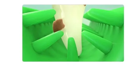 משחק מנקה שיניים לכלבים ובעלי חיים
